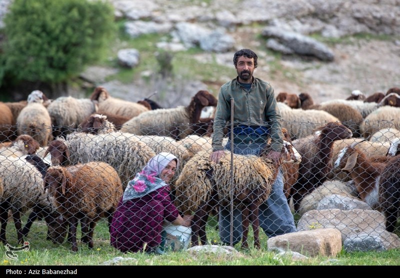 کوچ ییلاقی عشایر