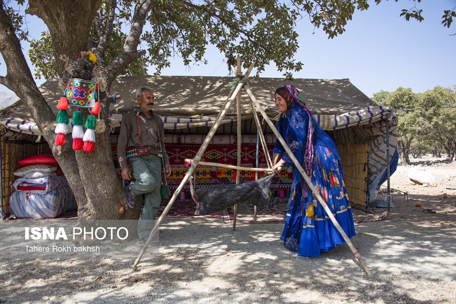 خانواده عشایری - استان فارس