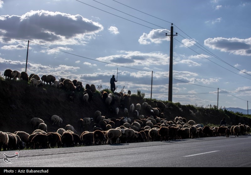 کوچ ییلاقی عشایر