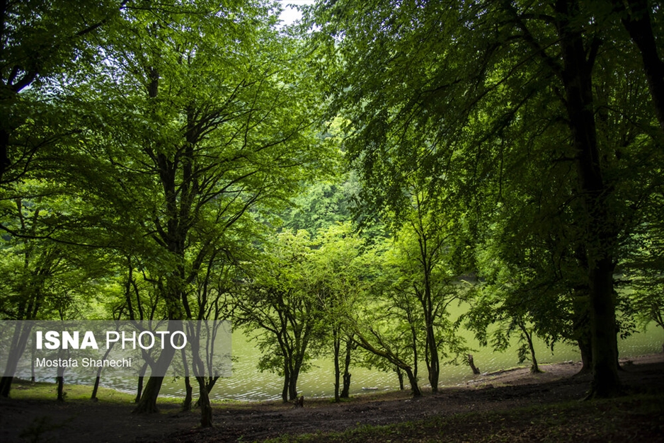 طبیعت بهاری دریاچه میانشه ساری - استان مازندران