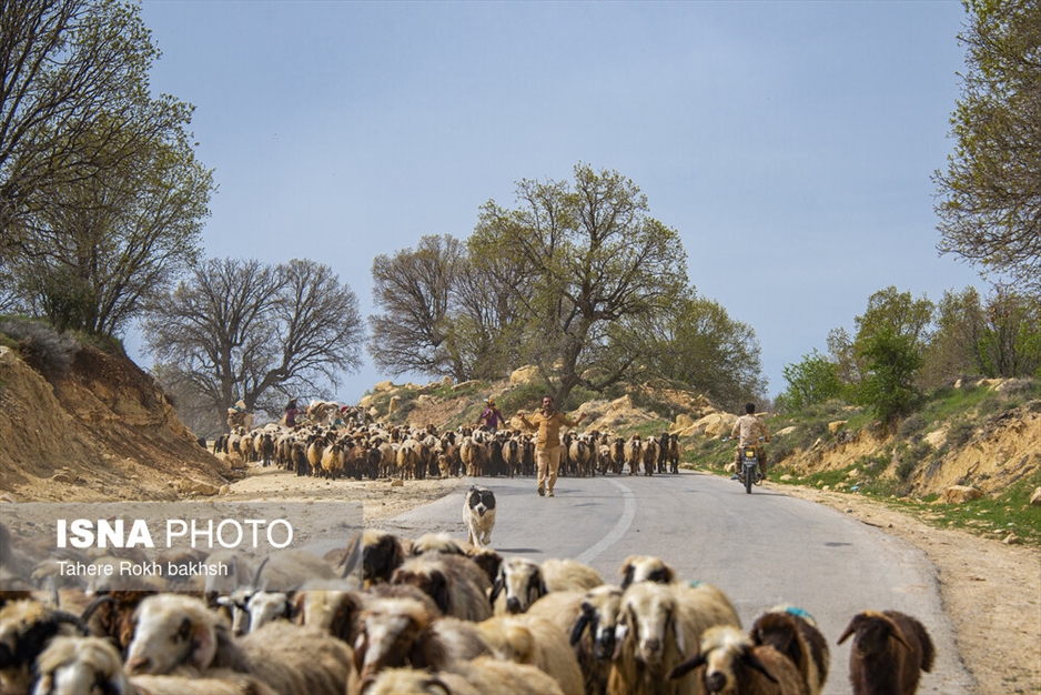 خانواده عشایری - استان فارس
