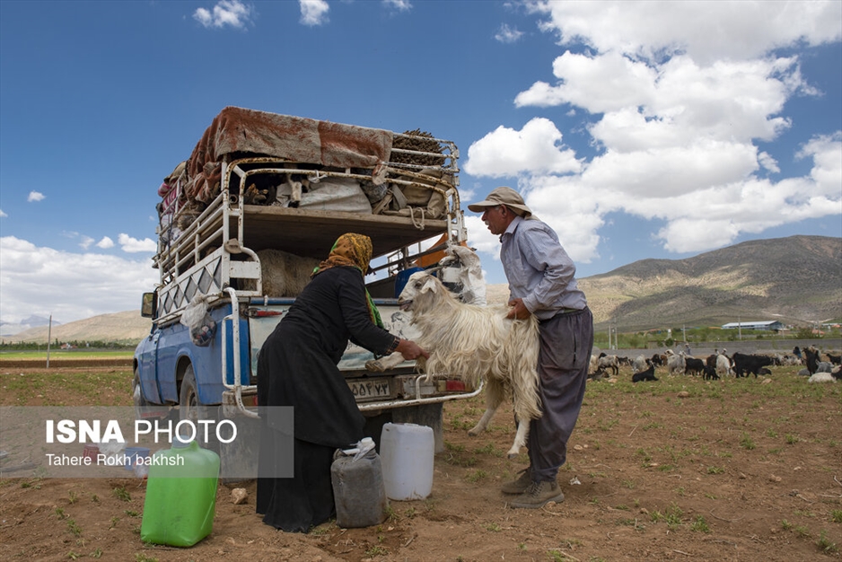 خانواده عشایری - استان فارس