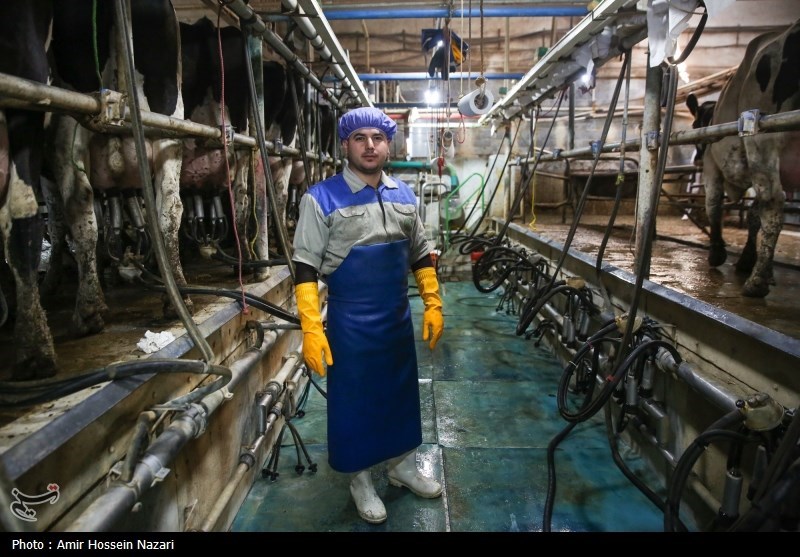  تحقق تامین امنیت غذایی با اتکا بر تولیدات داخلی 