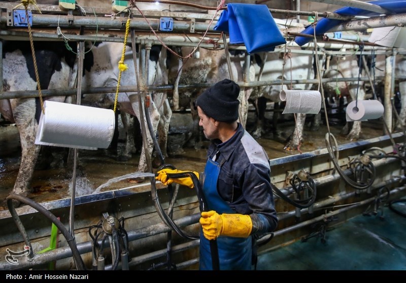  تحقق تامین امنیت غذایی با اتکا بر تولیدات داخلی 