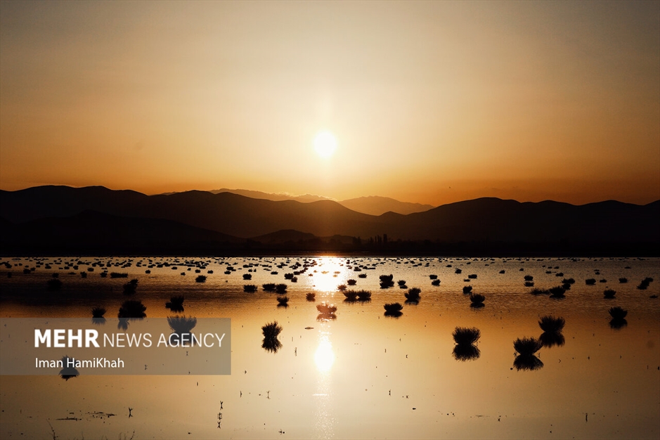 آبگیری تالاب «آق گل» بعد از سه سال خشکسالی