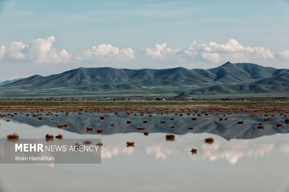 آبگیری تالاب «آق گل» بعد از سه سال خشکسالی