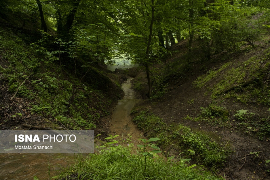 طبیعت بهاری دریاچه میانشه ساری - استان مازندران