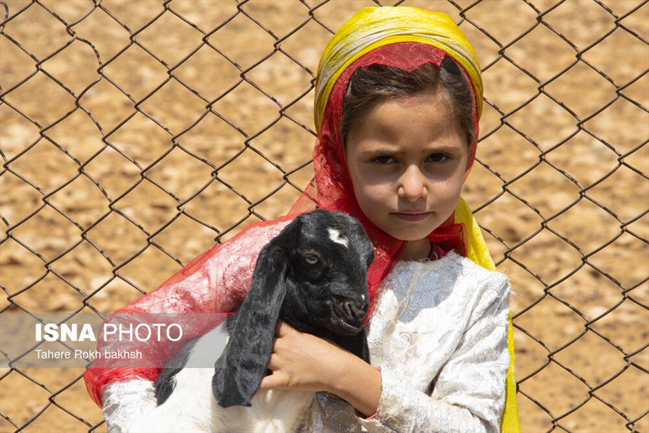 خانواده عشایری - استان فارس