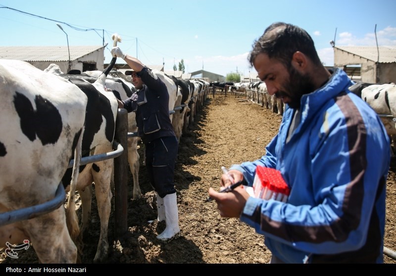 تحقق تامین امنیت غذایی با اتکا بر تولیدات داخلی 