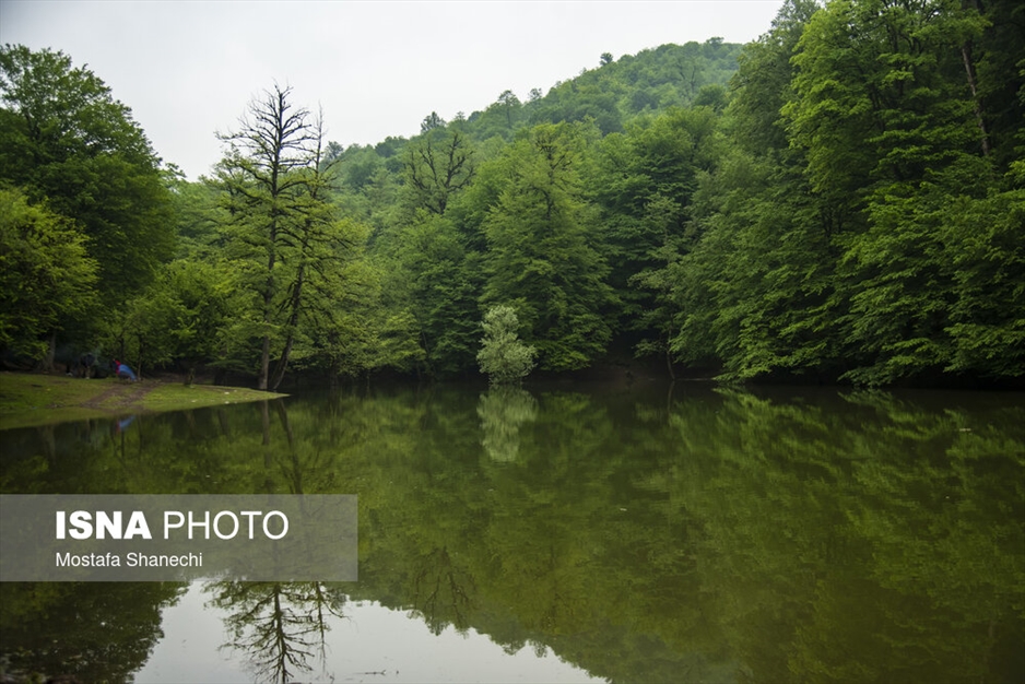 طبیعت بهاری دریاچه میانشه ساری - استان مازندران