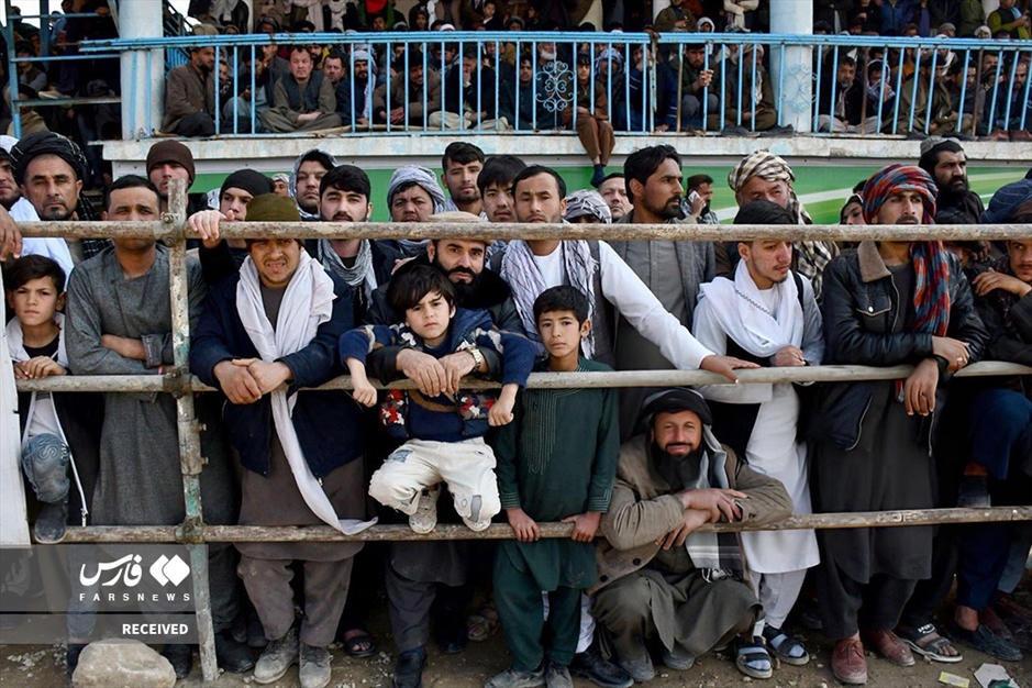 رقابت بُزکشی در افغانستان