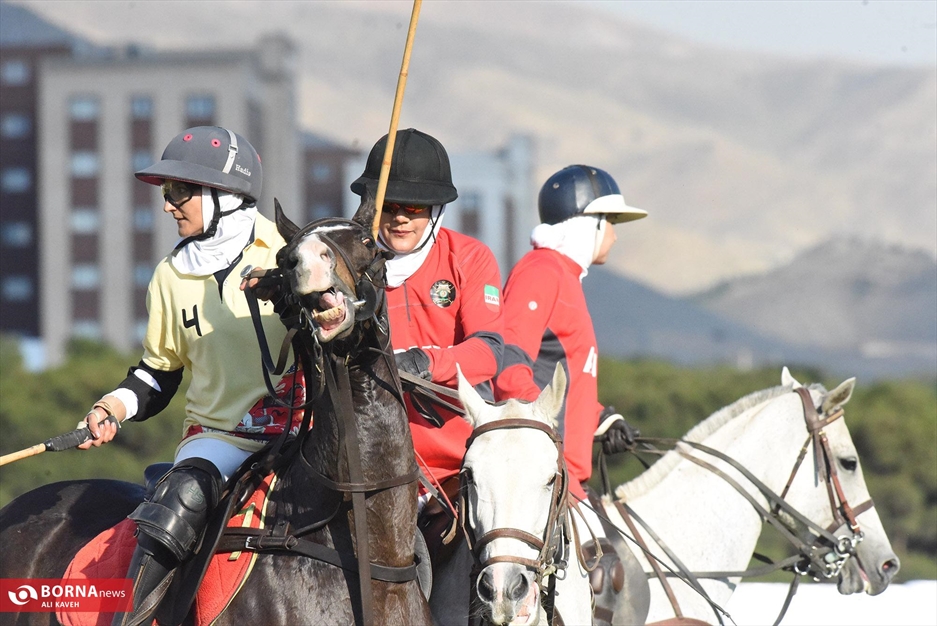 مسابقات چوگان جام بنفشه