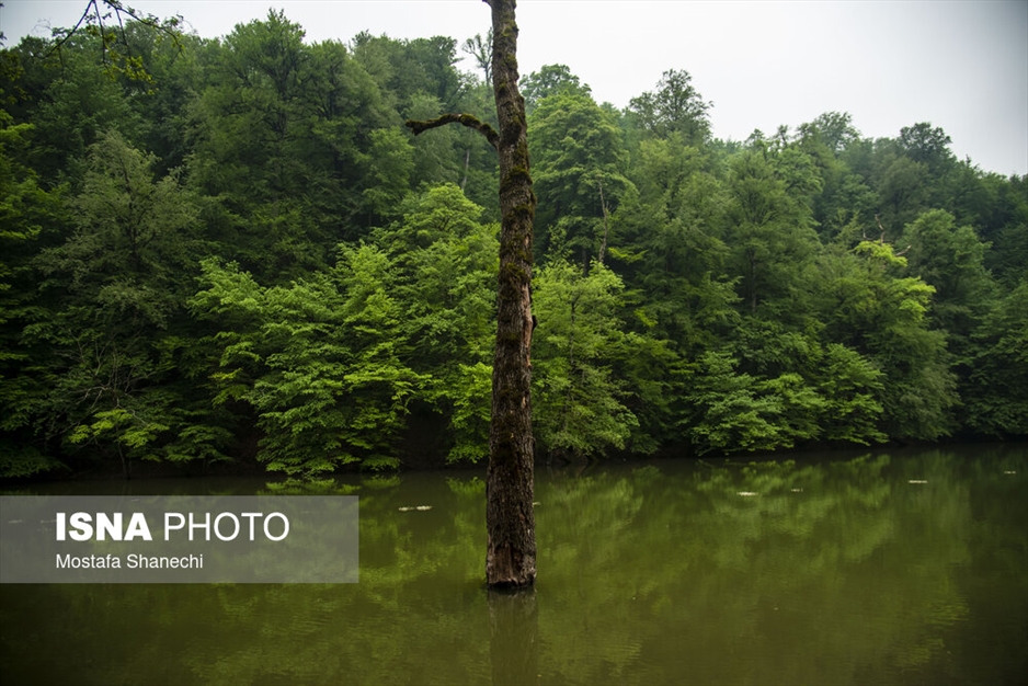 طبیعت بهاری دریاچه میانشه ساری - استان مازندران