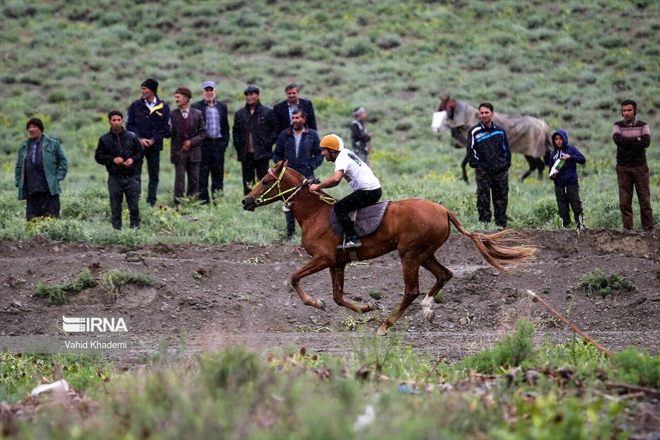 کورس اسبدوانی بهاره بجنورد