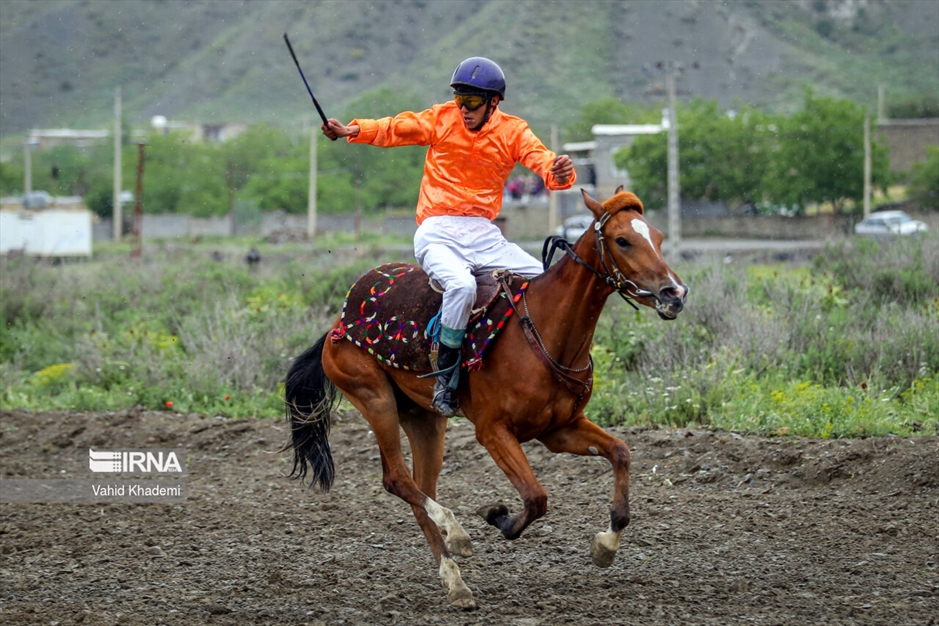 کورس اسبدوانی بهاره بجنورد
