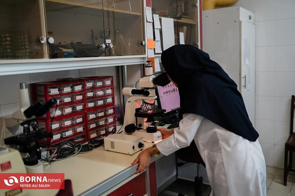 موزه ملک تهران