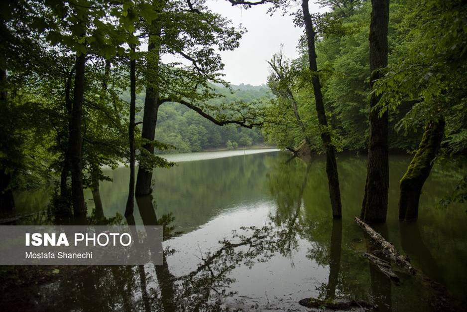 طبیعت بهاری دریاچه میانشه ساری - استان مازندران
