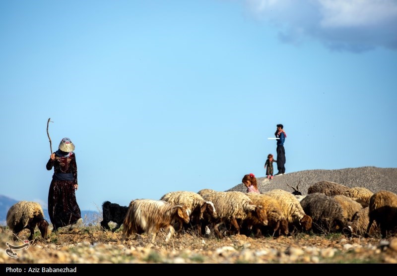 کوچ ییلاقی عشایر