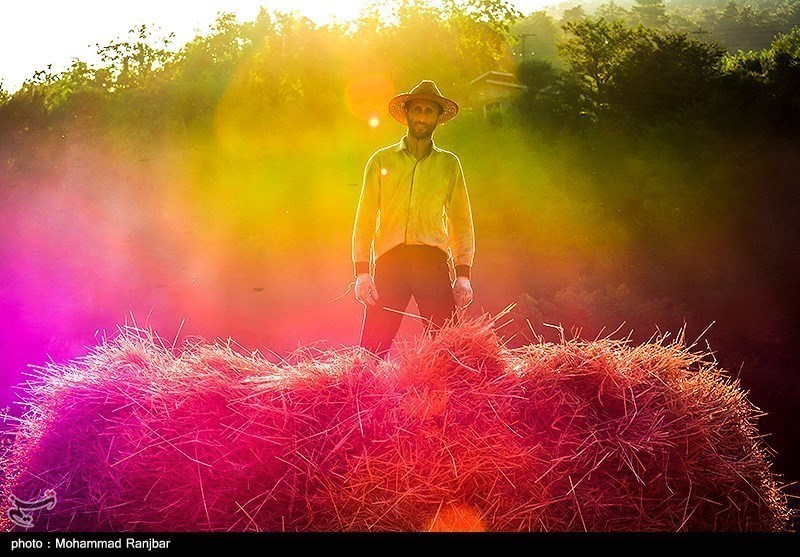 روز جهانی کار و کارگر