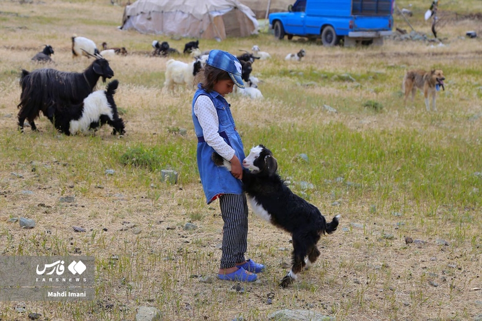 دختران آفتاب