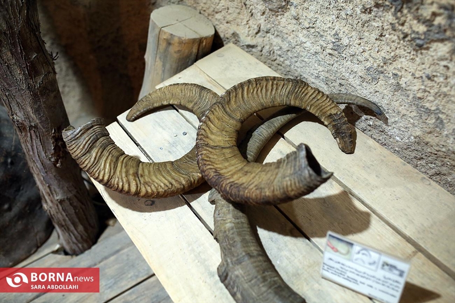 روستای میمند کرمان