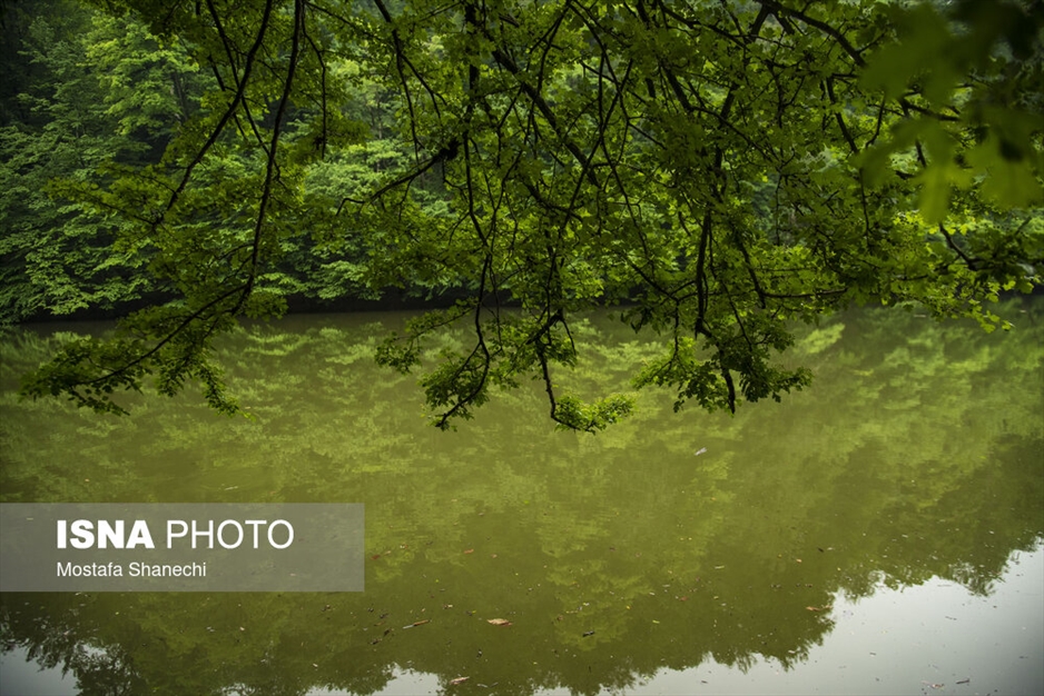 طبیعت بهاری دریاچه میانشه ساری - استان مازندران