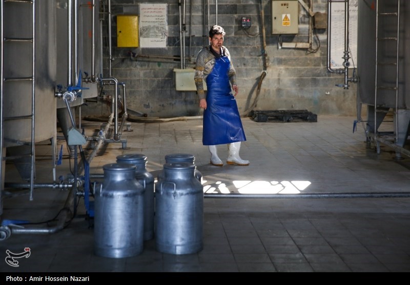  تحقق تامین امنیت غذایی با اتکا بر تولیدات داخلی 