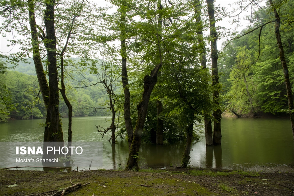 طبیعت بهاری دریاچه میانشه ساری - استان مازندران
