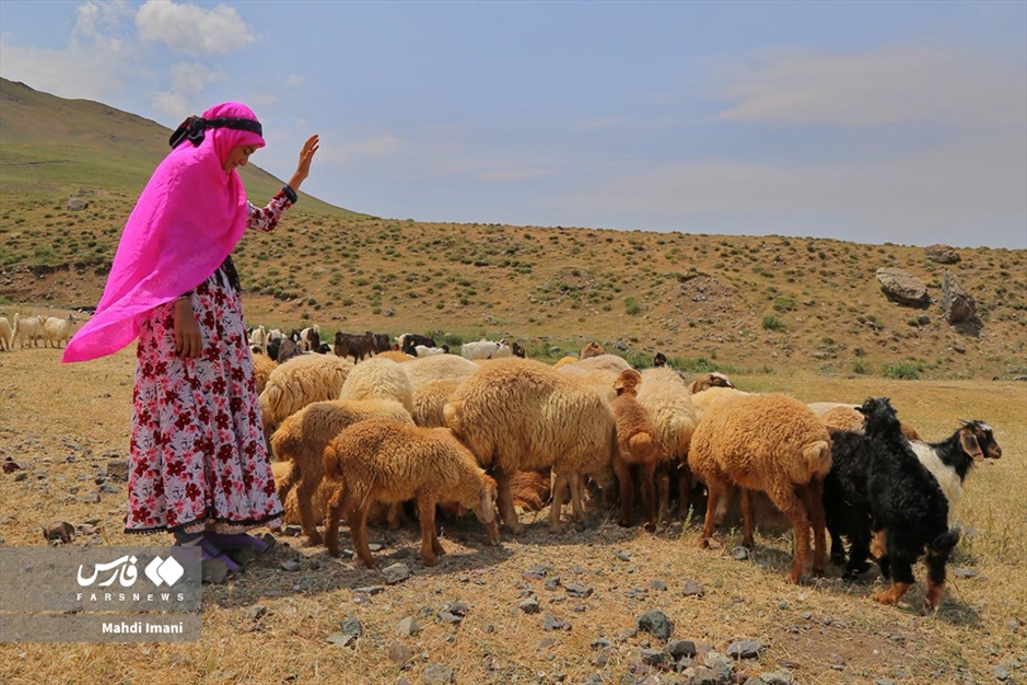 دختران آفتاب