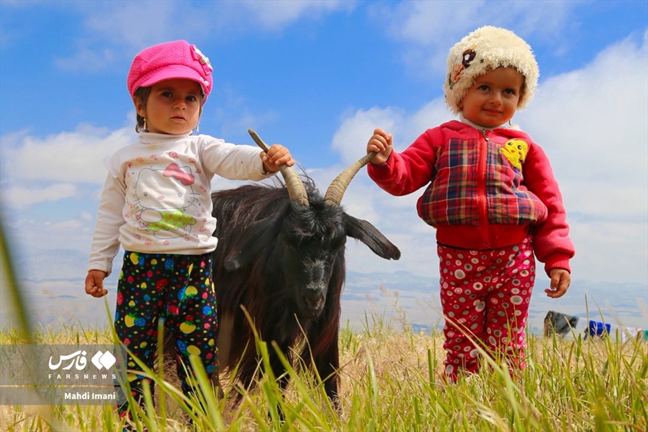 دختران آفتاب