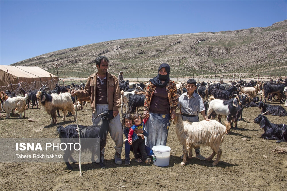 خانواده عشایری - استان فارس