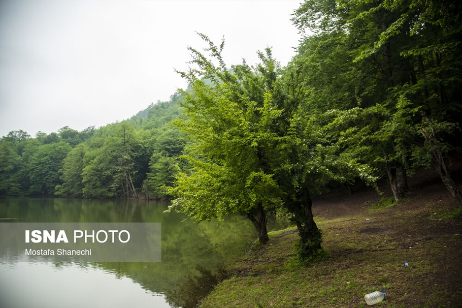 طبیعت بهاری دریاچه میانشه ساری - استان مازندران