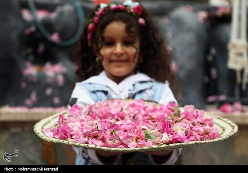 جشنواره گل و گلاب در محلات