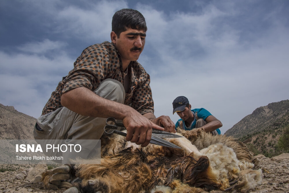 خانواده عشایری - استان فارس