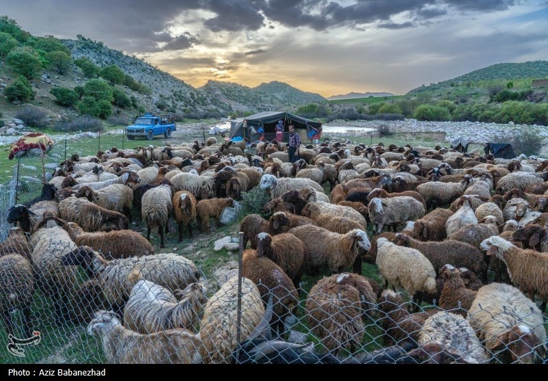 کوچ ییلاقی عشایر