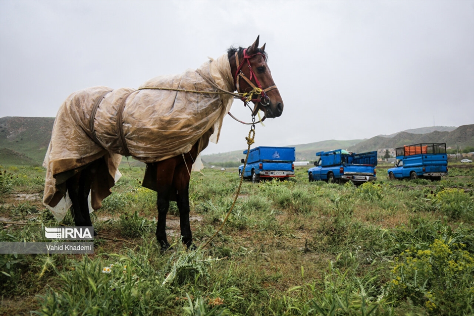 کورس اسبدوانی بهاره بجنورد