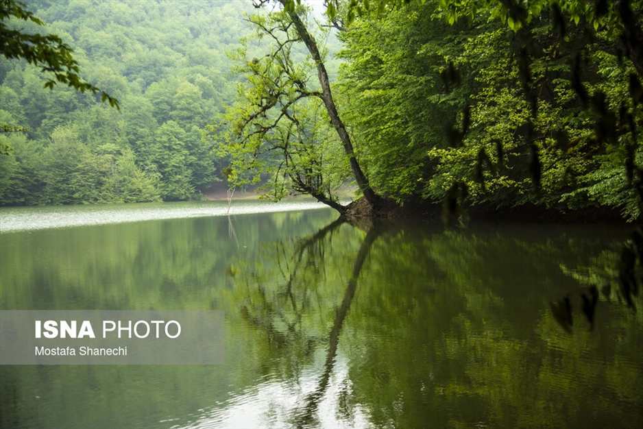 طبیعت بهاری دریاچه میانشه ساری - استان مازندران