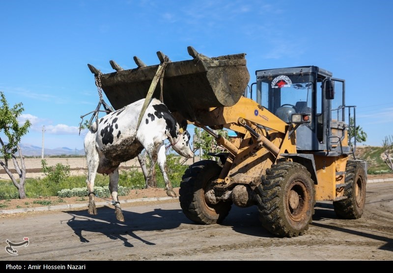  تحقق تامین امنیت غذایی با اتکا بر تولیدات داخلی 