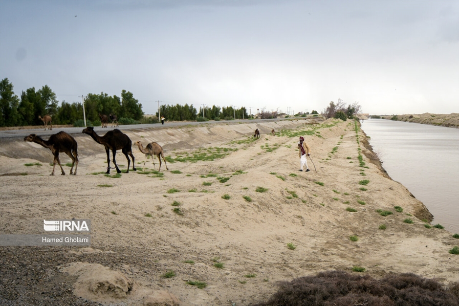 آب در راه سیستان