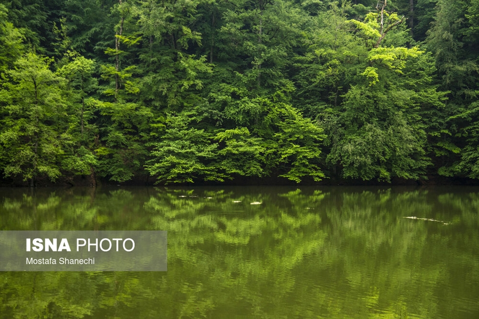 طبیعت بهاری دریاچه میانشه ساری - استان مازندران