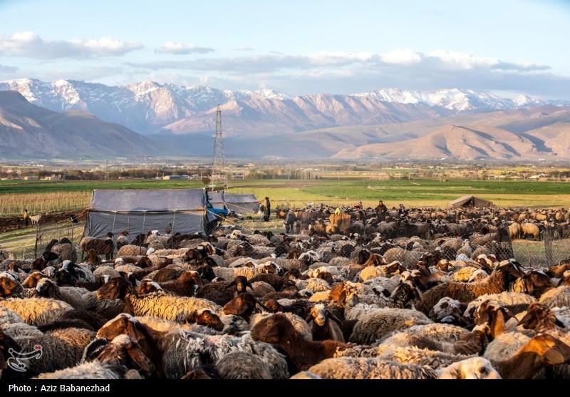 کوچ ییلاقی عشایر