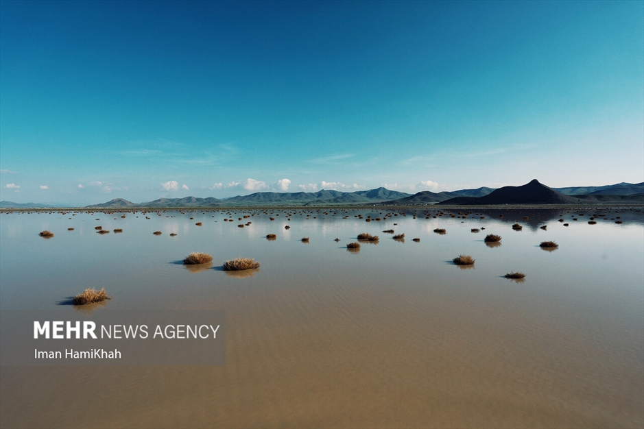 آبگیری تالاب «آق گل» بعد از سه سال خشکسالی