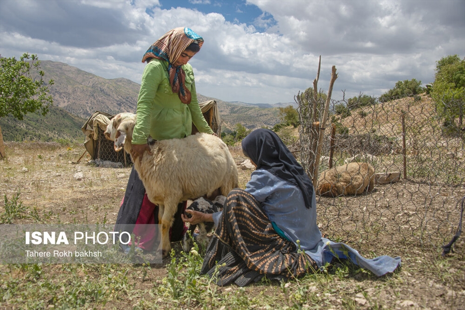 خانواده عشایری - استان فارس