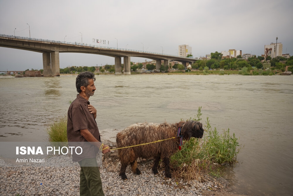 وضعیت رودخانه دز در بارش های اخیر