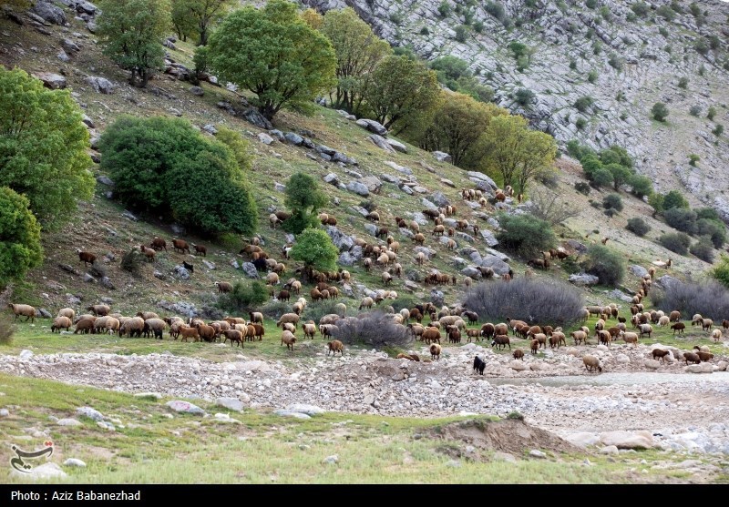 کوچ ییلاقی عشایر