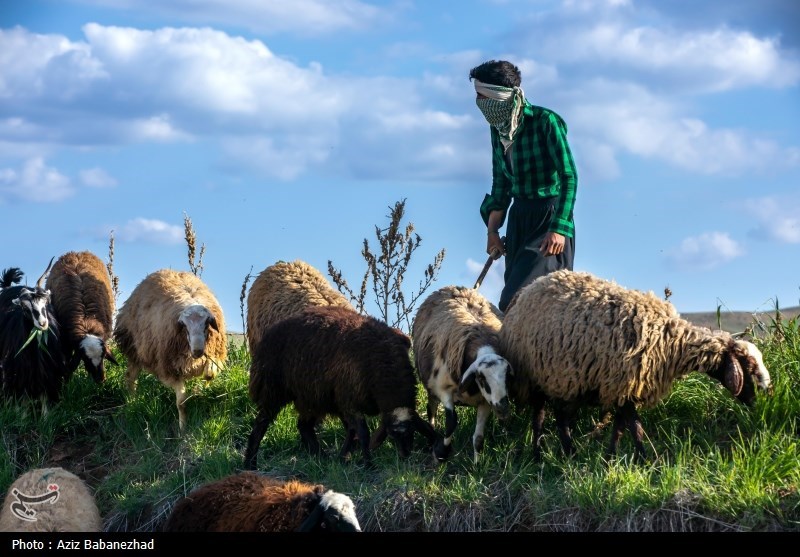 کوچ ییلاقی عشایر