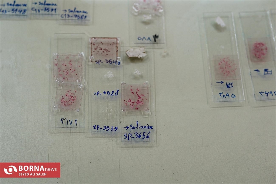 موزه ملک تهران