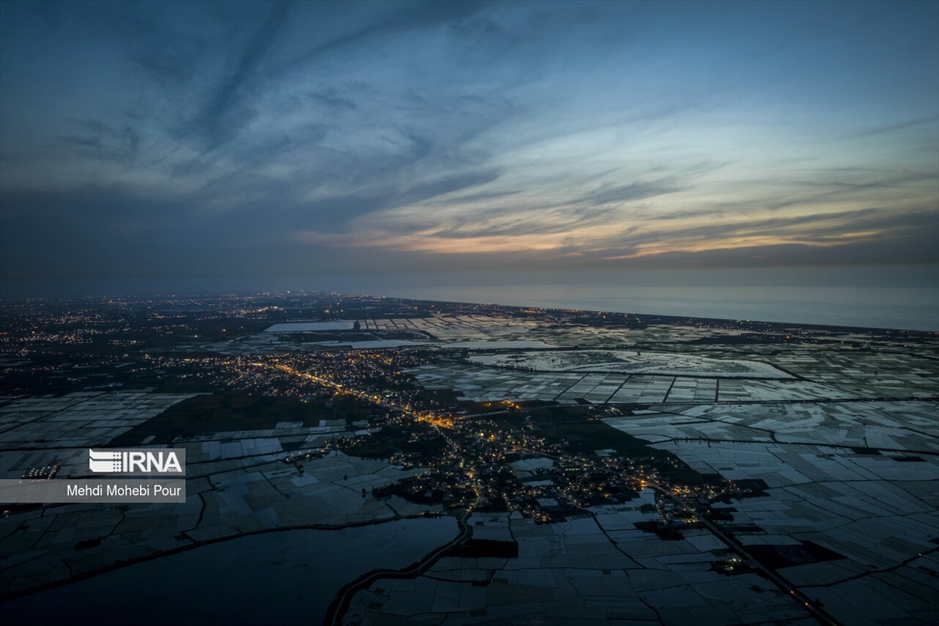 فصل نشا برنج