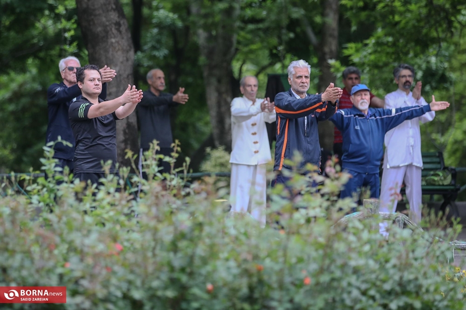 روز جهانی تای چی چوان ووشو