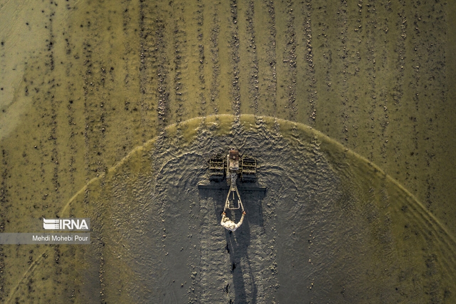 فصل نشا برنج